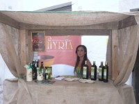 /album/galleria-foto-homepage/p1070133-jpg/