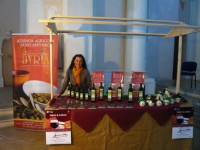 /album/galleria-foto-homepage/p1070584-jpg/