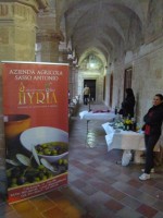 /album/galleria-foto-homepage/p1080316-jpg/