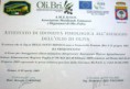 /album/premi-e-certificazioni/p1070748-jpg/