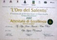 /album/premi-e-certificazioni/p1070750-jpg/